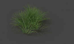 漫画野草,荒野中的生命之歌